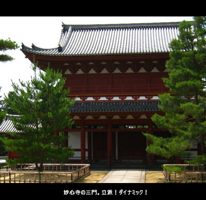 妙心寺の三門。立派!ダイナミック!