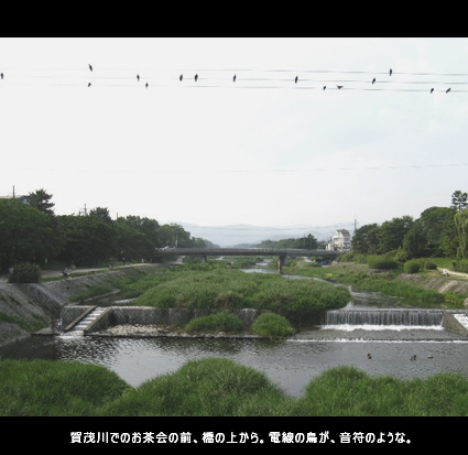 賀茂川でのお茶会の前、橋の上から。電線の鳥が、音符のような。