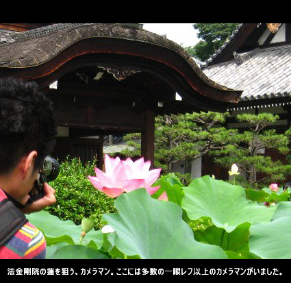 法金剛院の蓮を狙う、カメラマン。ここには多数の一眼レフ以上のカメラマンがいました。