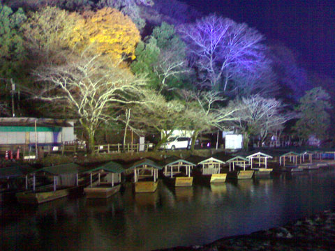 嵐山花灯路