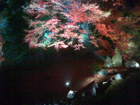 嵐山花灯路-宝厳院