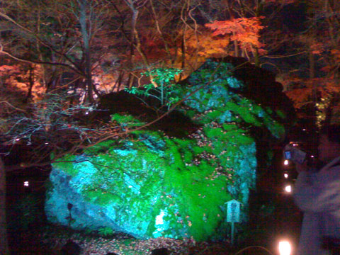 嵐山花灯路-宝厳院