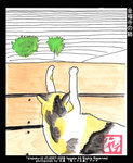 金福寺の猫